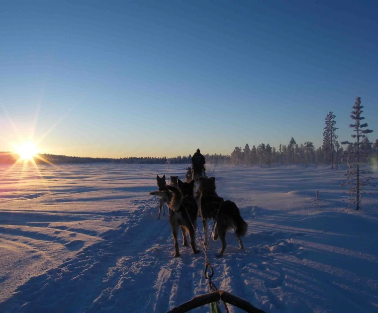 Traineaux de chiens sur un lac en Laponie