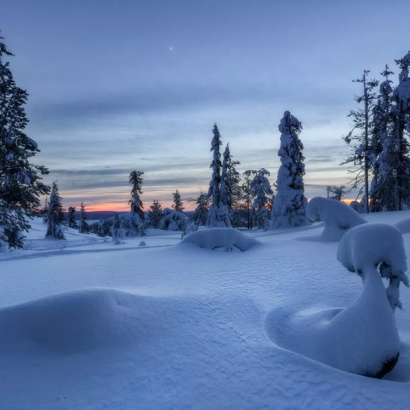 Paysage de nuit polaire en Laponie