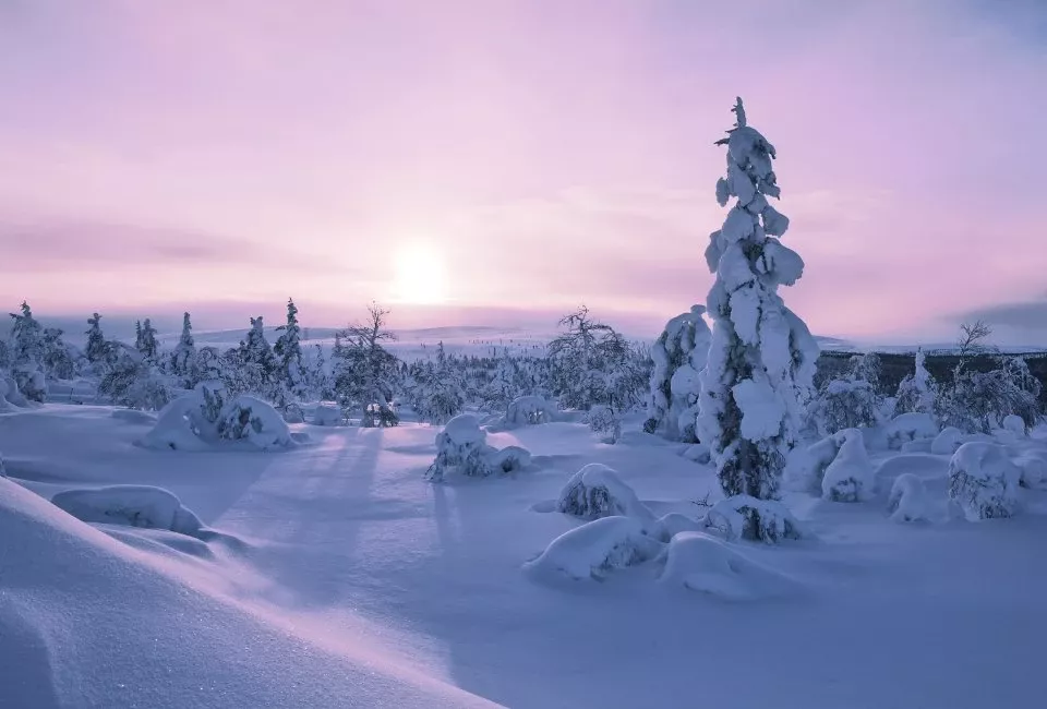 Voyage multi-activités Magie blanche sous le ciel polaire de Laponie