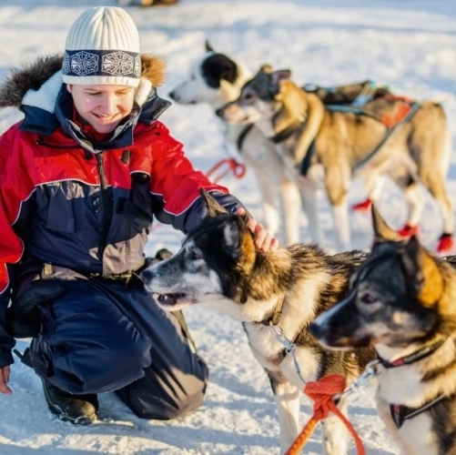 Rencontre avec les huskies dans une ferme avant le premier atelier scientifique