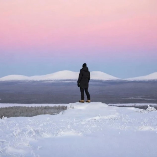 Un homme contemple le paysage polaire
