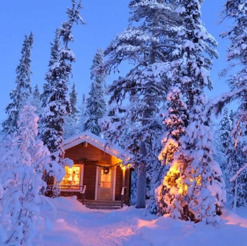 La maison du Père Noël illuminée en plein coeur de la forêt blanche