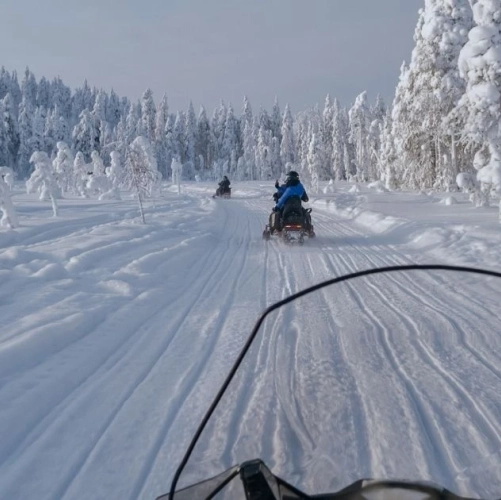 Motoneige à travers la forêt 