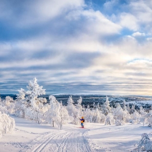 Ski de fond sous le ciel bleu, avant de comprendre l'origine de ses couleurs