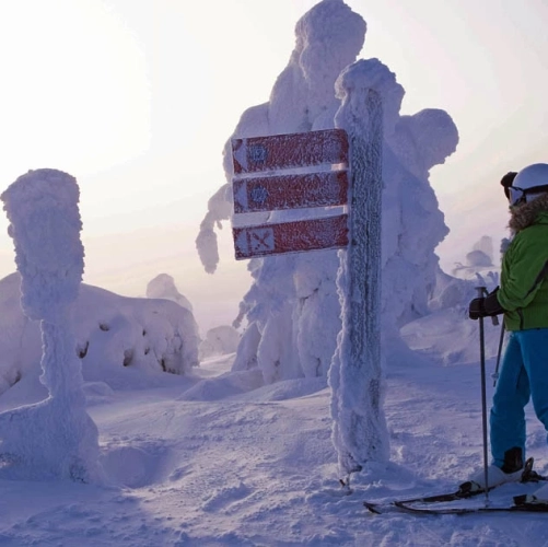 Skieuse admirant le paysage figé au sommet du mont