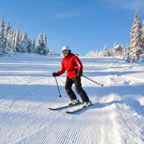 Une skieuse confiante trace sa ligne dans la neige, entre les arbres d’une insolite forêt blanche