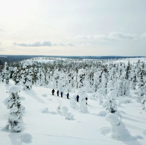 Randonneurs en skis de forêt glissant sur un océan de neige, au cœur d’une forêt immaculée