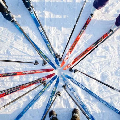 Skis de fond et bâtons d'une famille disposés en cercle sur la neige