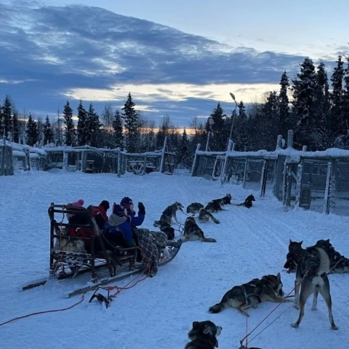 Traîneau de chiens chargé de familles le jour du Réveillon du Nouvel An
