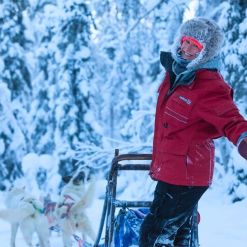 Traineau de chiens avant le réveillon du Nouvel An à Jeris
