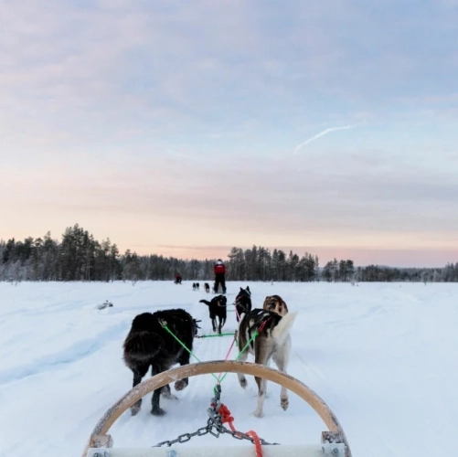 Traineau à chiens sur le lac