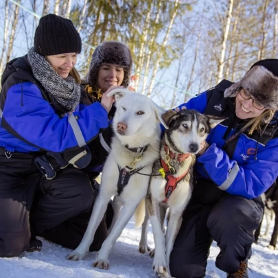 Balade en traîneau à chiens dans la nature sauvage à Ylläs