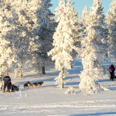 5 km de traîneau de huskies depuis Levi