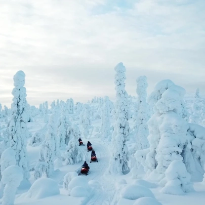 Expédition sauvage en motoneige à Ylläs