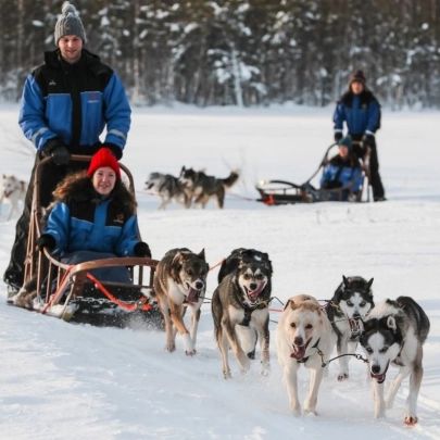 Safaris motoneige et traîneau de chiens à Ylläs