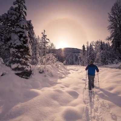 Skieur de fond traversant des pistes enneigées, entouré par des forêts immaculées à Muonio, avec un guide