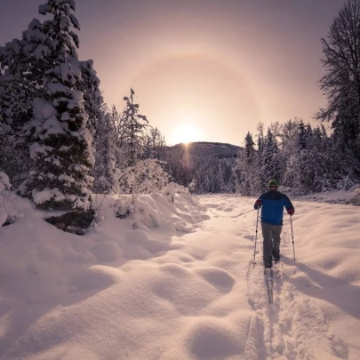 Skieur de fond traversant des pistes enneigées, entouré par des forêts immaculées à Muonio, avec un guide