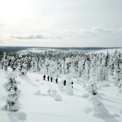 Ski de forêt à Ylläs 