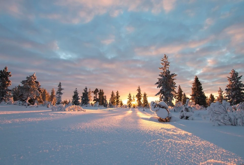 Paysages autour d'Harriniva à Noël