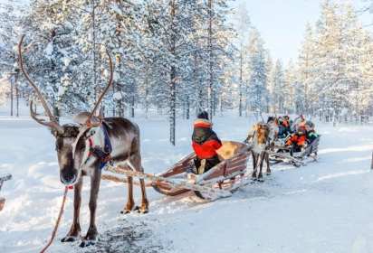 Nouvel an en famille au pays des lutins avec vos enfants