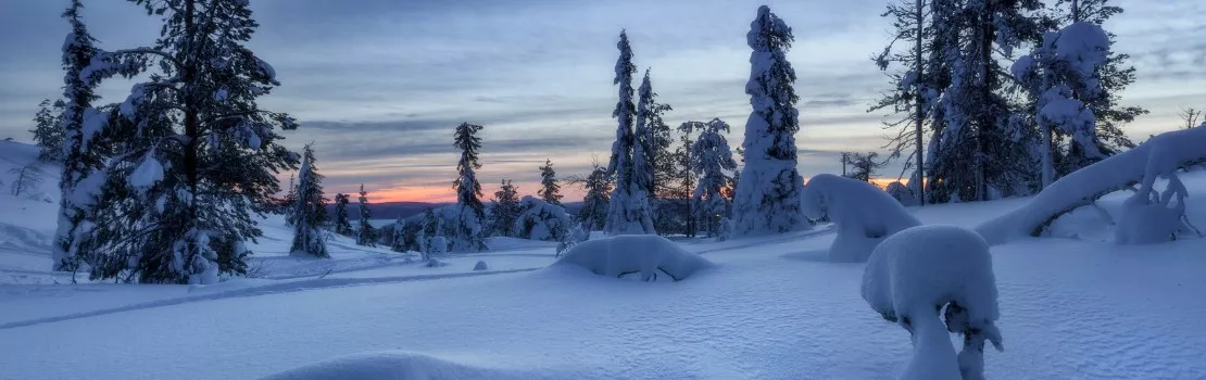 Paysage de nuit polaire en Laponie