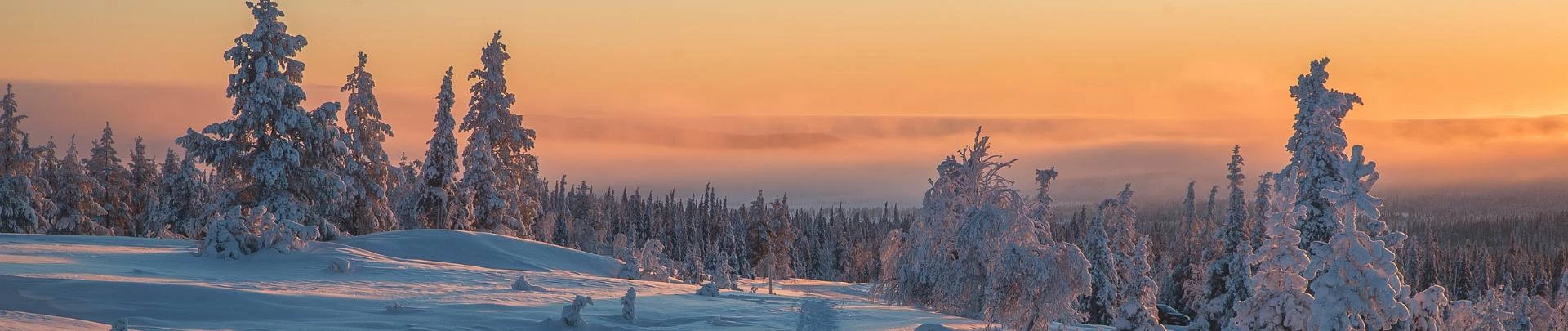 Voyages pour le Réveillon de Noël en Laponie
