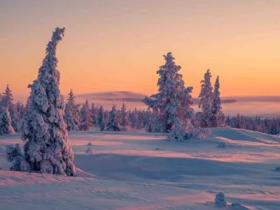 Le ciel orangé de Laponie pendant la nuit polaire