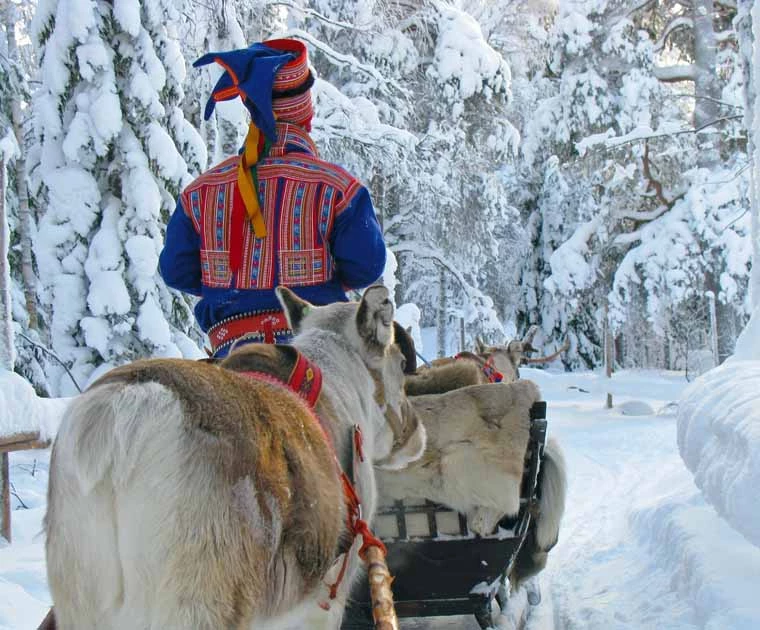 Eleveur de renne en habit traditionnel conduisant les traîneaux en Laponie