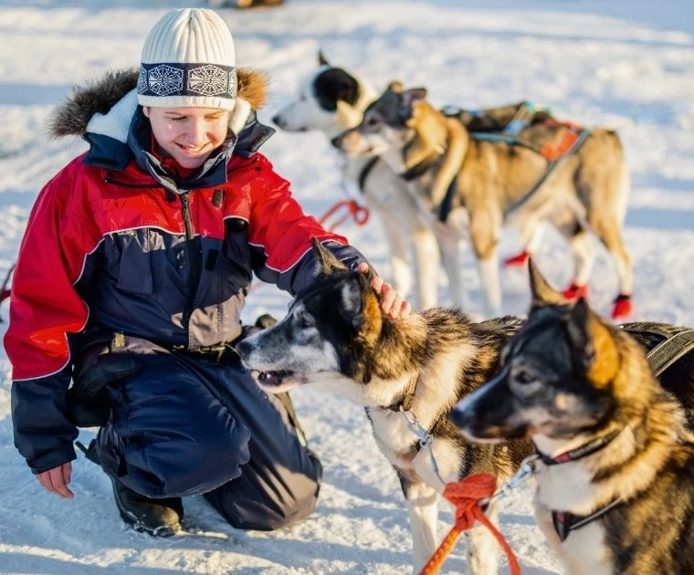 Rencontre avec les huskies dans une ferme avant le premier atelier scientifique