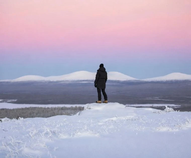 Un homme contemple le paysage polaire