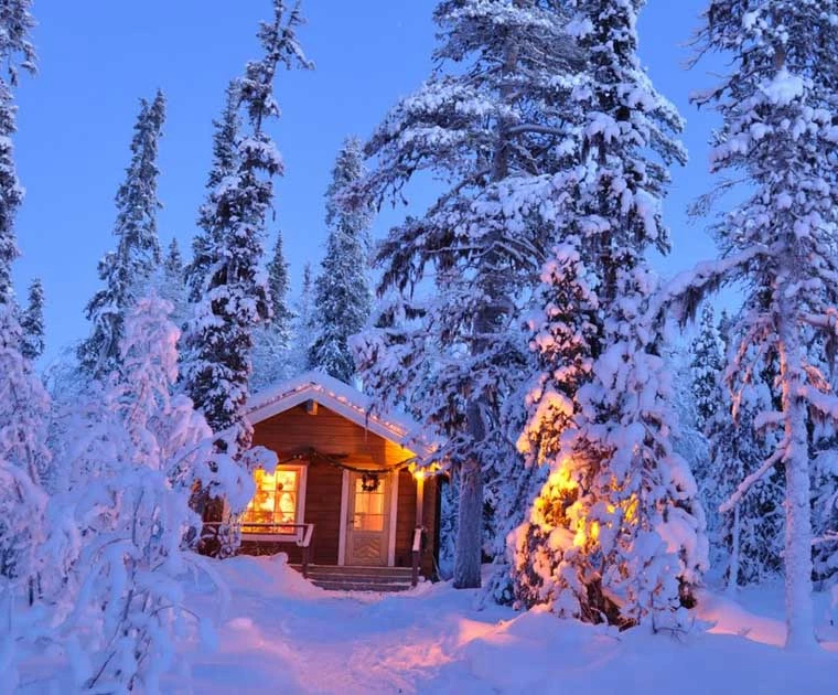 La maison du Père Noël illuminée en plein coeur de la forêt blanche