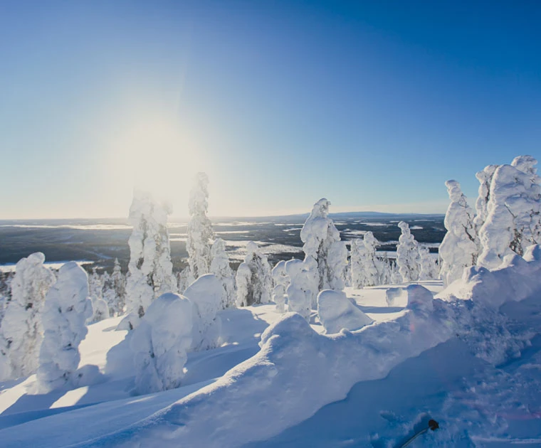 Une colline surplombe un paysage insolite fait d'arbres figés et de vallées immaculées