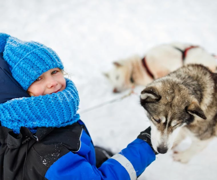 Fillette caressant un huskie en Laponie