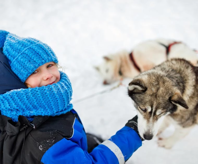 Une fillette venue voir le Père Noël caresse un huskie au chenil d'Harriniva