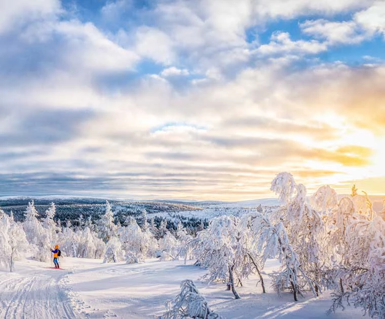 Ski de fond au lever du soleil en Laponie finlandaise