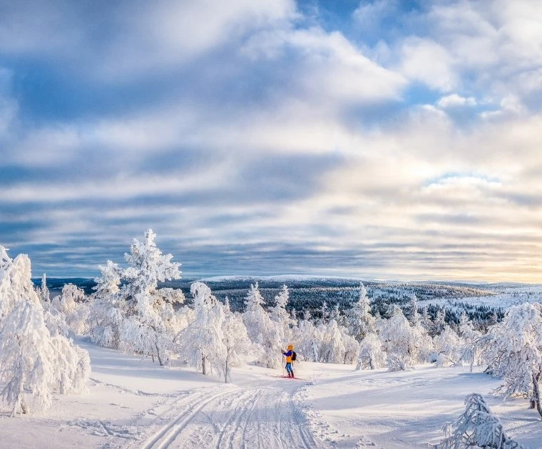 Ski de fond sous le ciel bleu, avant de comprendre l'origine de ses couleurs