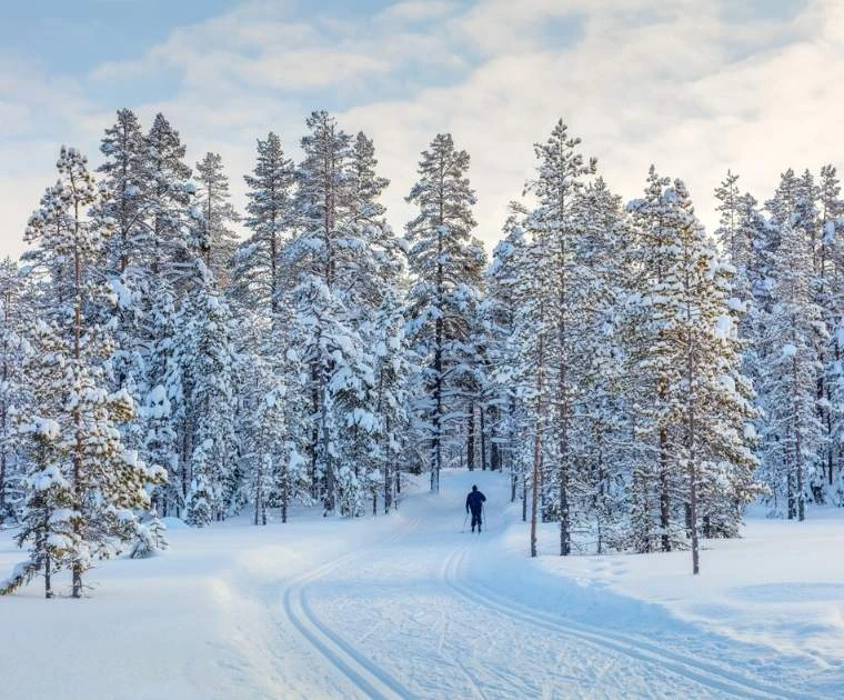 Initiation au Ski de fond en forêt