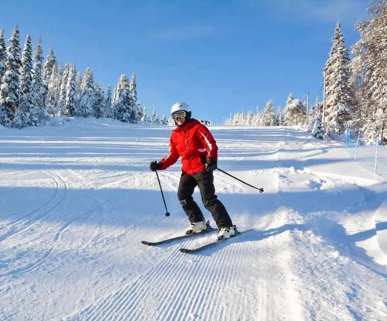 Une skieuse confiante trace sa ligne dans la neige, entre les arbres d’une insolite forêt blanche