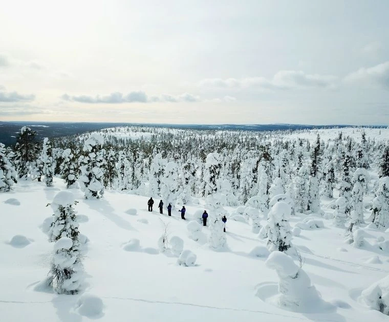 Randonneurs en skis de forêt glissant sur un océan de neige, au cœur d’une forêt immaculée
