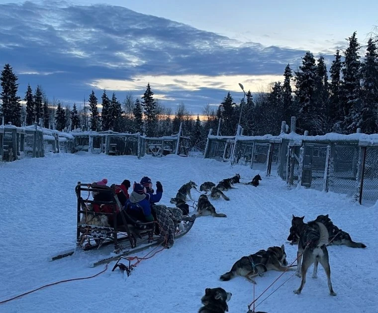 Traîneau de chiens chargé de familles le jour du Réveillon du Nouvel An