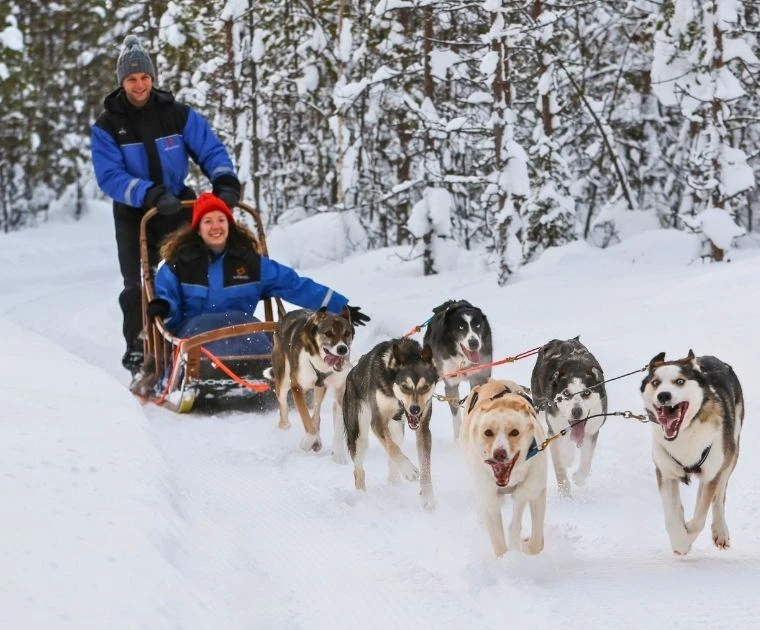 Un couple radieux profite des sensations de glisse sur la neige, porté par l’élan des chiens