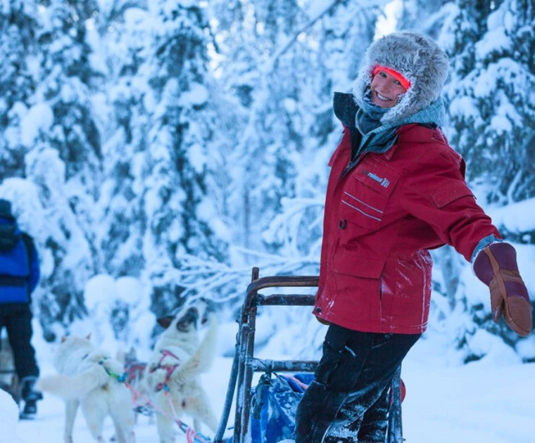 Traineau de chiens avant le réveillon du Nouvel An à Jeris