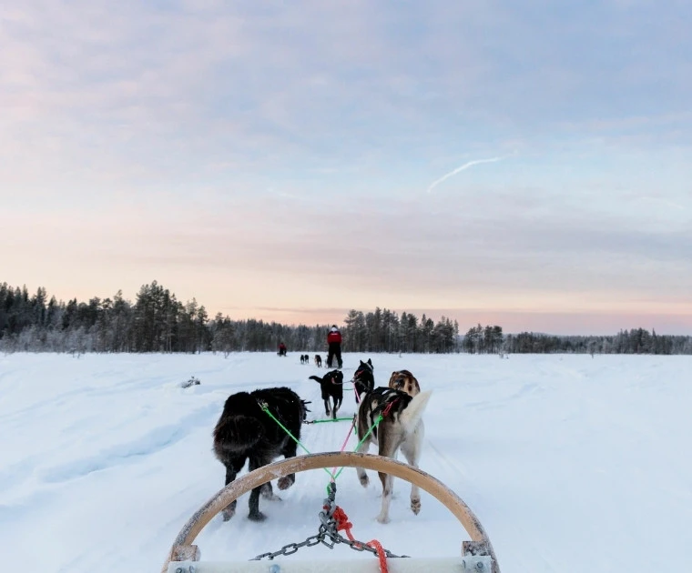 Traineau à chiens sur le lac