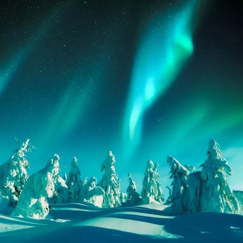 Explications sur le phénomène des aurores boréales à Torassieppi en Laponie