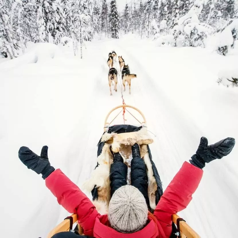 Une journée de traîneau avec les huskies depuis Levi en Laponie