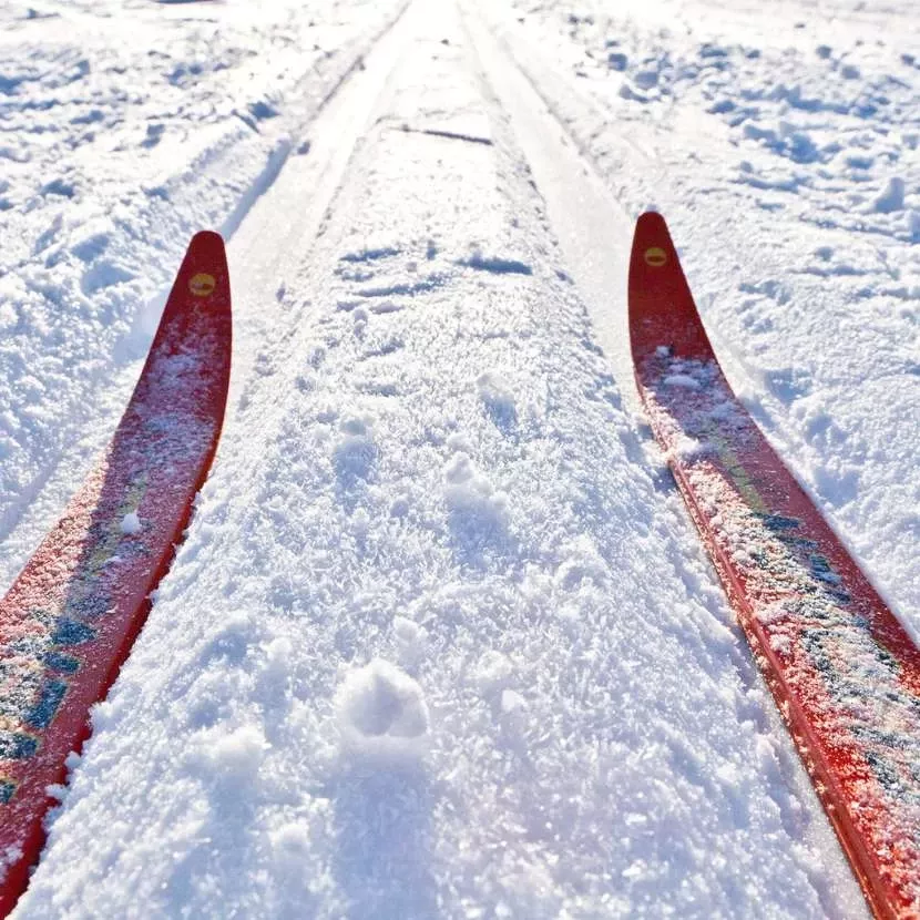 Location de raquettes à neige, skis de fond et VTT depuis Jeris en Laponie
