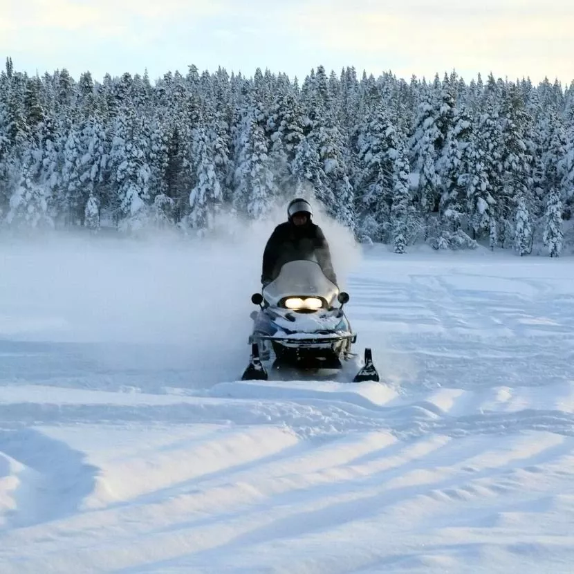 80 km de motoneige en solo avec pique-nique depuis Torassieppi en Laponie