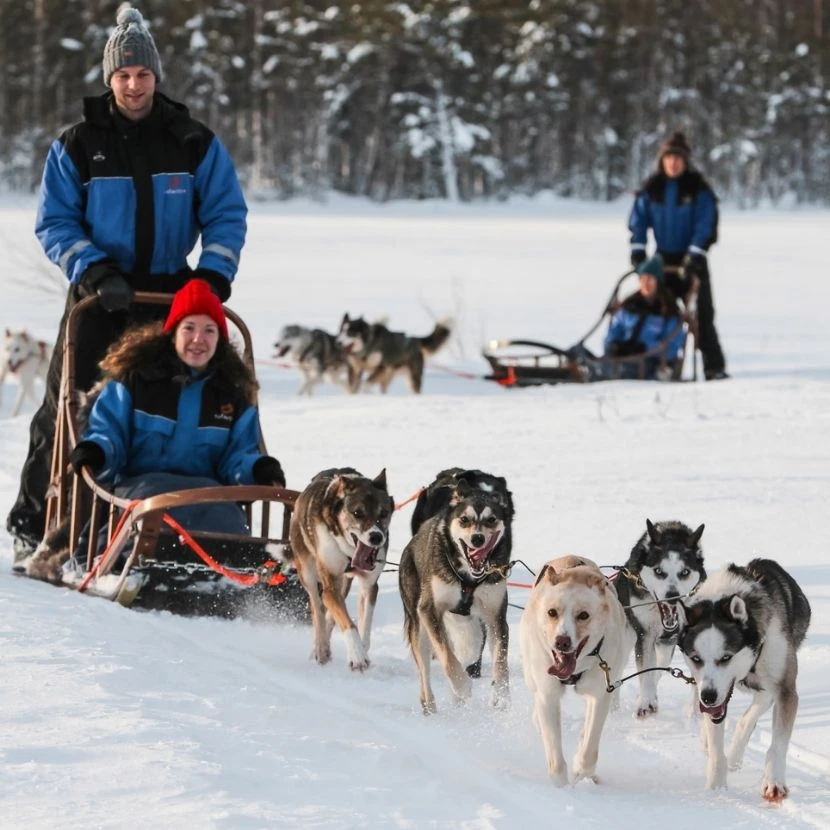 Safaris motoneige et traîneau de chiens à Ylläs