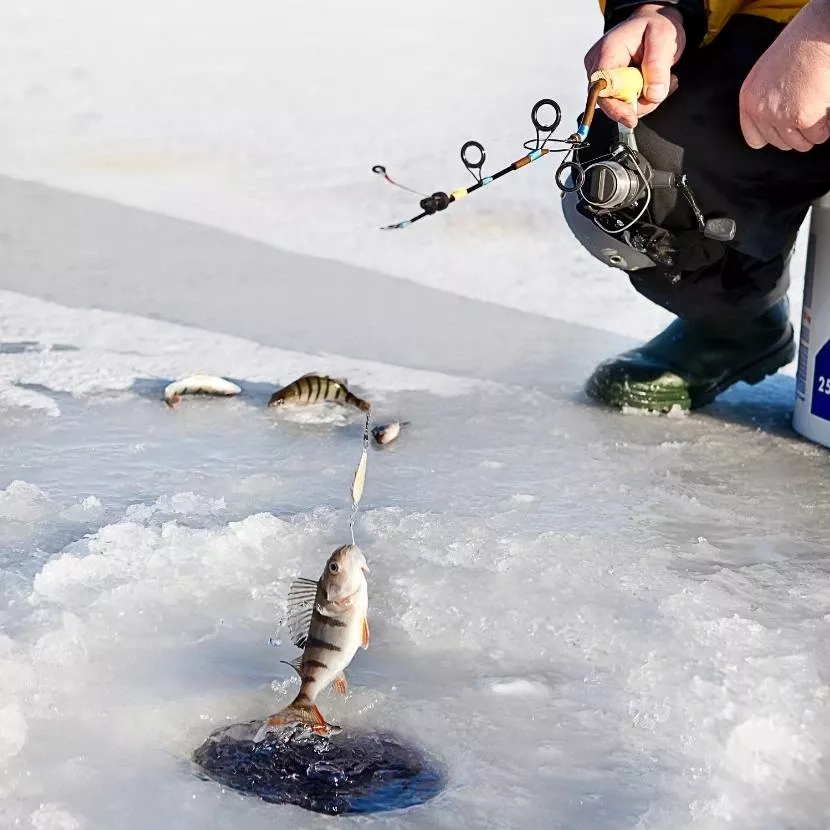Pêche sous la glace en Laponie depuis Harriniva en Laponie