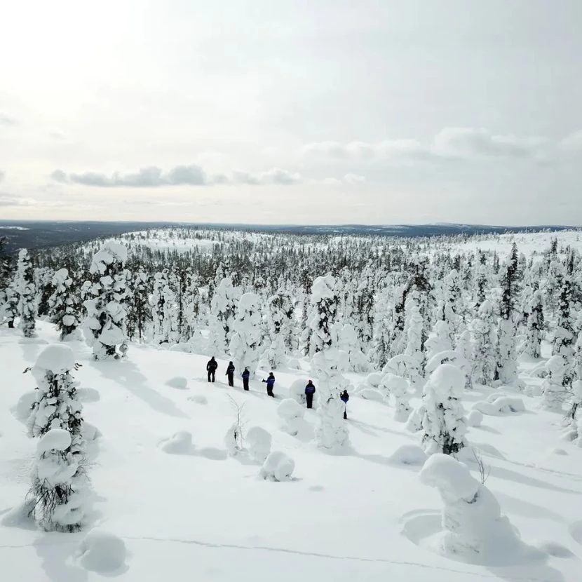Ski de forêt à Ylläs 